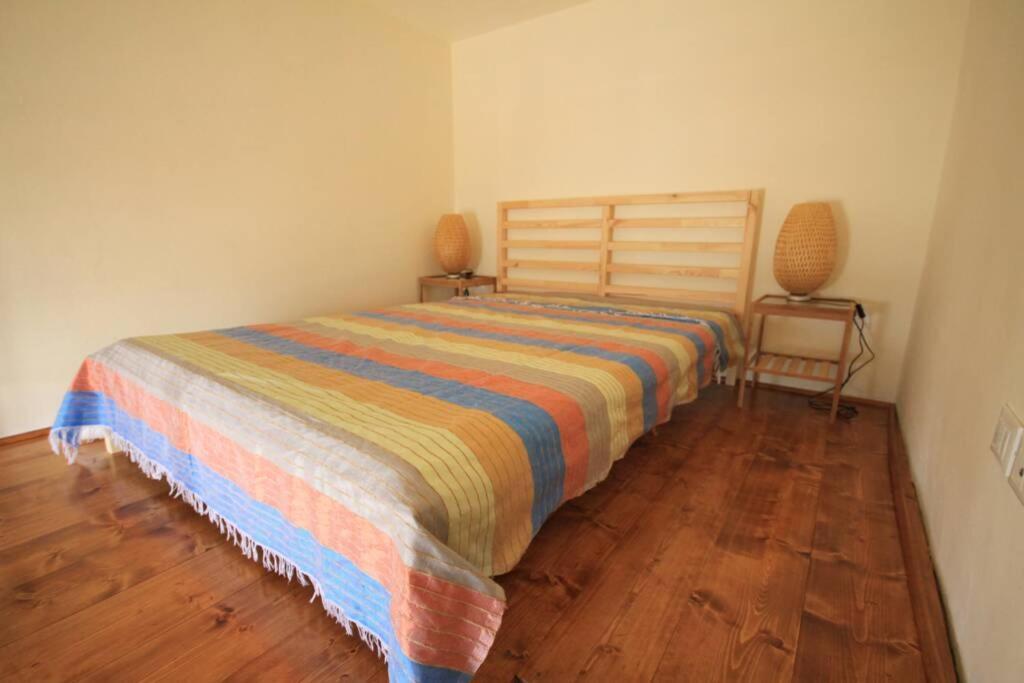 Apartmán Bilocale Fronte Mare Marina Di Pisa Exteriér fotografie